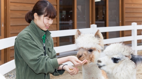 国際ペットワールド専門学校 「新潟市動物ふれあいセンター」との連携