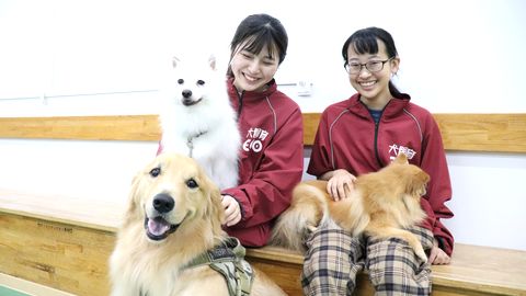 福岡ECO動物海洋専門学校 動物と共に過ごす楽しい学園生活。「一人ひとりを大切に」サポートします！