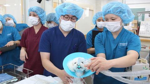 吉田学園動物看護専門学校 経験豊富な獣医師、動物看護師など、最前線で活躍するプロが指導