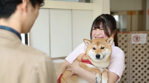 吉田学園動物看護専門学校 モデル犬システム