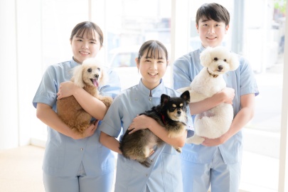 ヤマザキ動物専門学校 1967年創立。50年以上の歴史を持つ動物看護の専門学校