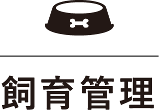 飼育管理