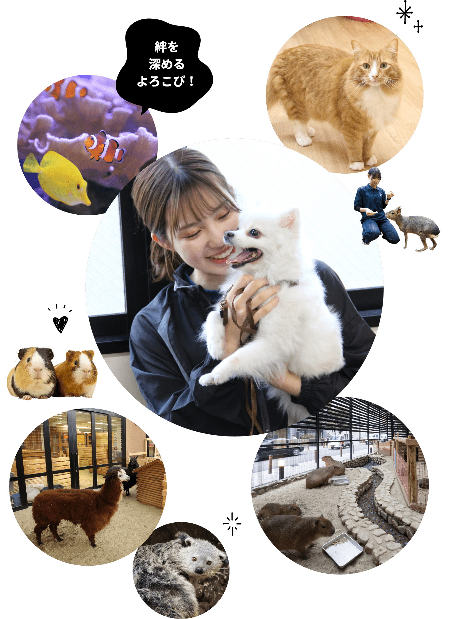 150種500頭以上の動物と触れ合い一緒に成長する