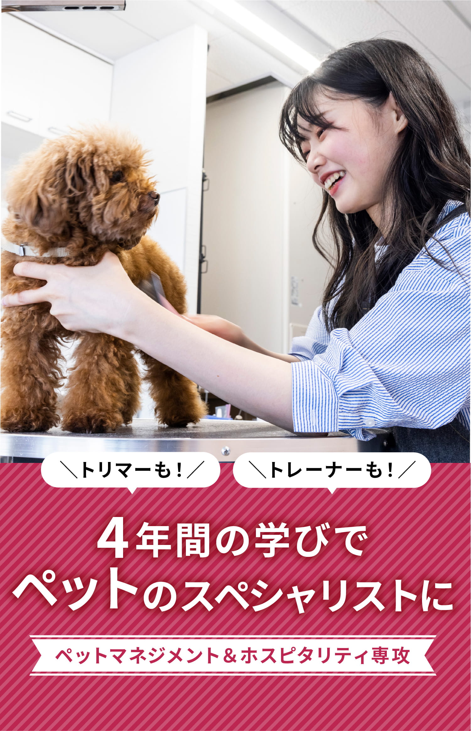 4年間の学びでペットのスペシャリストに
