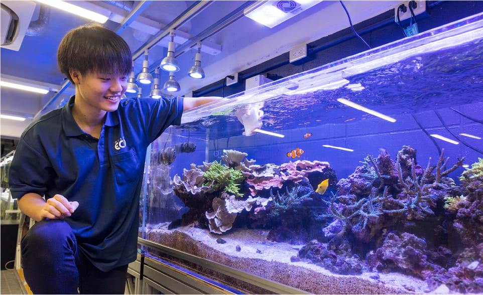 水族館飼育実習