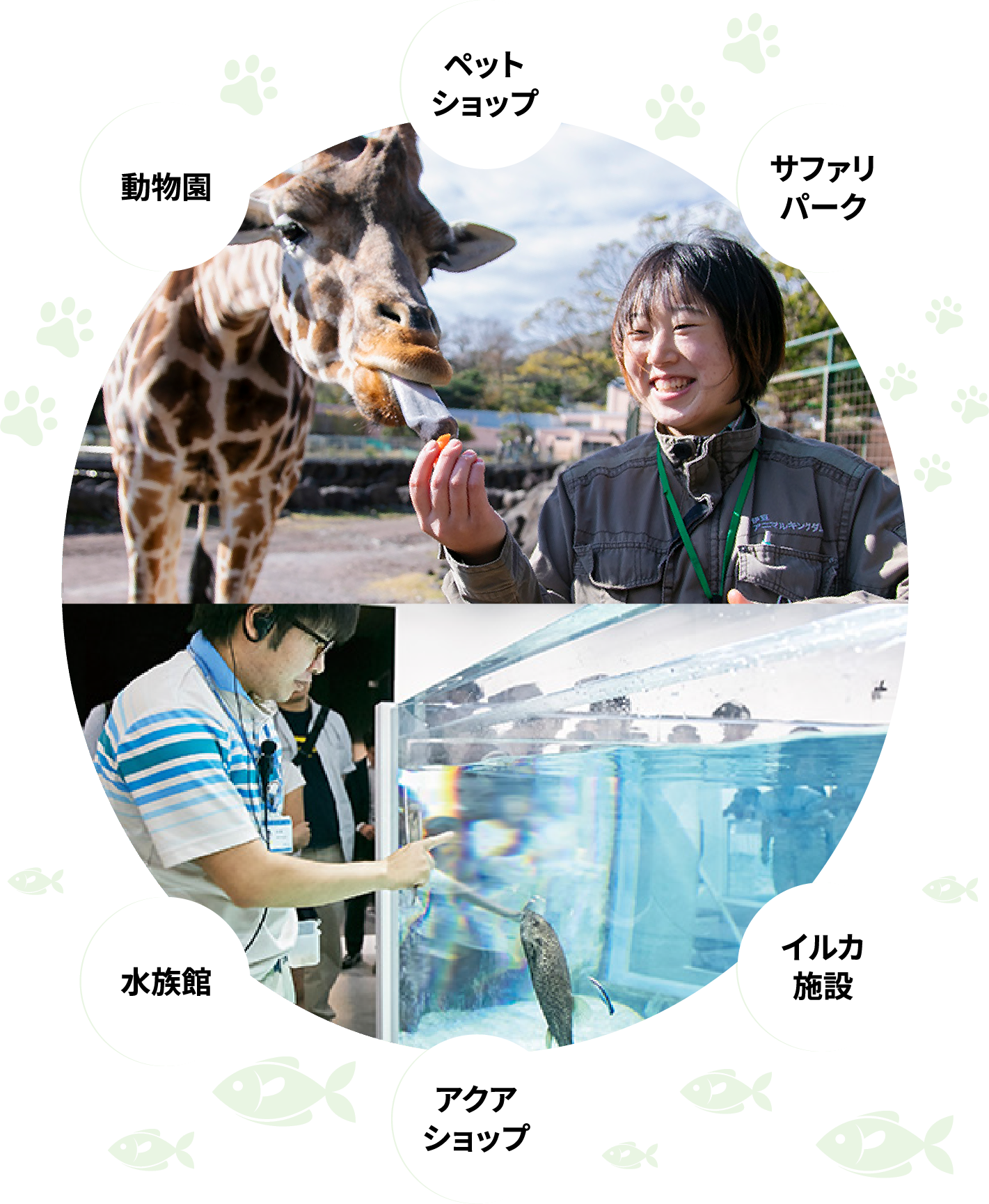 将来は憧れの職場で活躍!