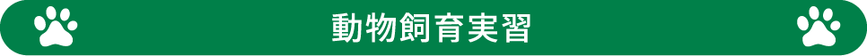  動物飼育実習