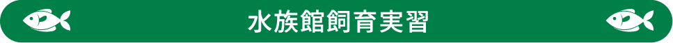  水族館飼育実習