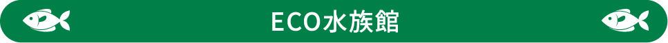  ECO水族館