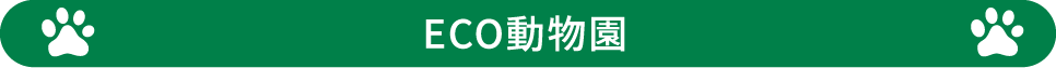 ECO動物園