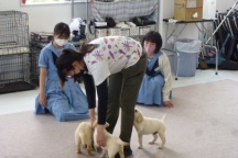 講師：松尾愛犬訓練学校　片岡玖美先生　九動卒 第10期生