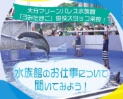 水族館のお仕事について聞いてみよう！