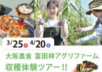 大阪農食 富田林アグリファーム 収穫体験ツアー