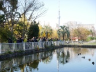 都市公園に生息する野鳥をじっくり観察してみよう！