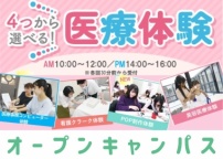 4つ体験から好きなものを選べる!