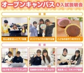 保育と医療秘書のことが詳しくわかる！