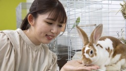 動物園やサファリパーク飼育員のお仕事に挑戦！！かわいい動物たちとのふれあいも楽しめる！