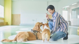 ワンちゃんとふれあいながら、しつけやトレーニングのコツを学ぼう！