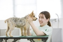 短時間でさまざまな場所を見てまわりたい方にオススメ!