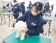 動物の仕事が気になるけど職種が決まらない、いろんな仕事を体験したい!