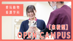 動物看護のやりがいを体験してみませんか?