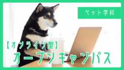 来校が難しい方の為のオンライン型オープンキャンパス《ペット学科》