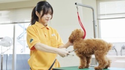 やりたい仕事が決まったら、学科別体験でリアル学生体験!