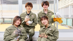「プチ体験」ができます!