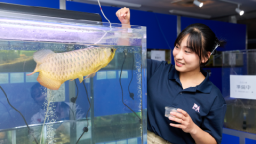 来校前に少し見ておきたい!