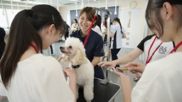 希望学科の実習が体験できる 午後から開催する半日盛りだくさんコース!