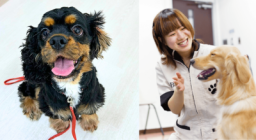 はじめて参加の方におすすめ♪