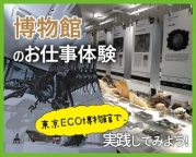 東京ECO自慢の博物館、ダイナソースクエアでのスペシャル授業!