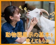動物園で働きたい方必見の講座!動物園での展示のヒミツ、教えます!