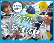 水族館の飼育員やアクアショップスタッフをめざす方必見!