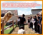 実際に動物園で活躍する卒業生が解説!動物園の裏側を見に行こう!