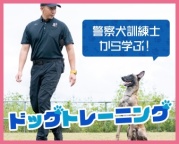 日本警察犬協会の公認訓練士からドッグトレーニングを学べるスペシャルメニュー!