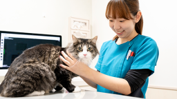 動物の健康チェックなどにチャレンジ!