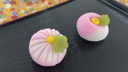 はんなり和菓子の｢練りきり｣とお抹茶