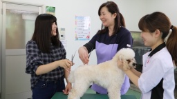 気になるブースで個別面談。少人数でじっくり話を聞くことが出来るよ!奨学金相談会も同時開催。