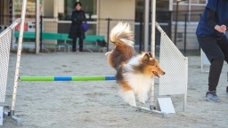 動物たちと触れ合えるオープンキャンパスで、いち早くキャンパスライフを実感しよう♪