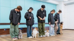 飼い主さんも愛犬も笑顔にできるドッグトレーナーになろう
