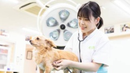 動物病院の「ナースのお仕事」を1日でまるごと体験！