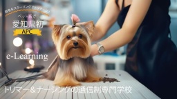 愛知県初令和7年4月新設通信教育で学ぶトリマー＆動物看護知識