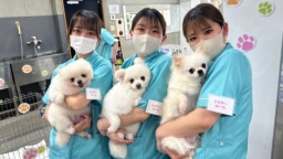 見て・触って・実際に体験してみよう!