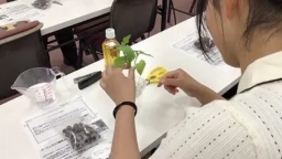 水耕栽培キットを作ってみよう♪