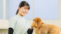 愛玩動物看護師とトリミングスキルをダブル習得できるペットマスター科で学ぼう!