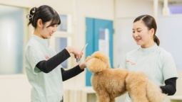 技術と飼い主さんへの対応力あるトリマーを目指そう!