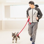 ワンちゃんと飼い主さんをつなぐトレーナーを目指そう!