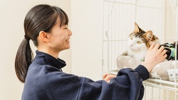 大動物から小動物、魚など多様な動物種の飼育管理を学びたい方におすすめ!