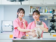 本物の動物看護を学ぶ!本当に学びたいなら河原アイペット!